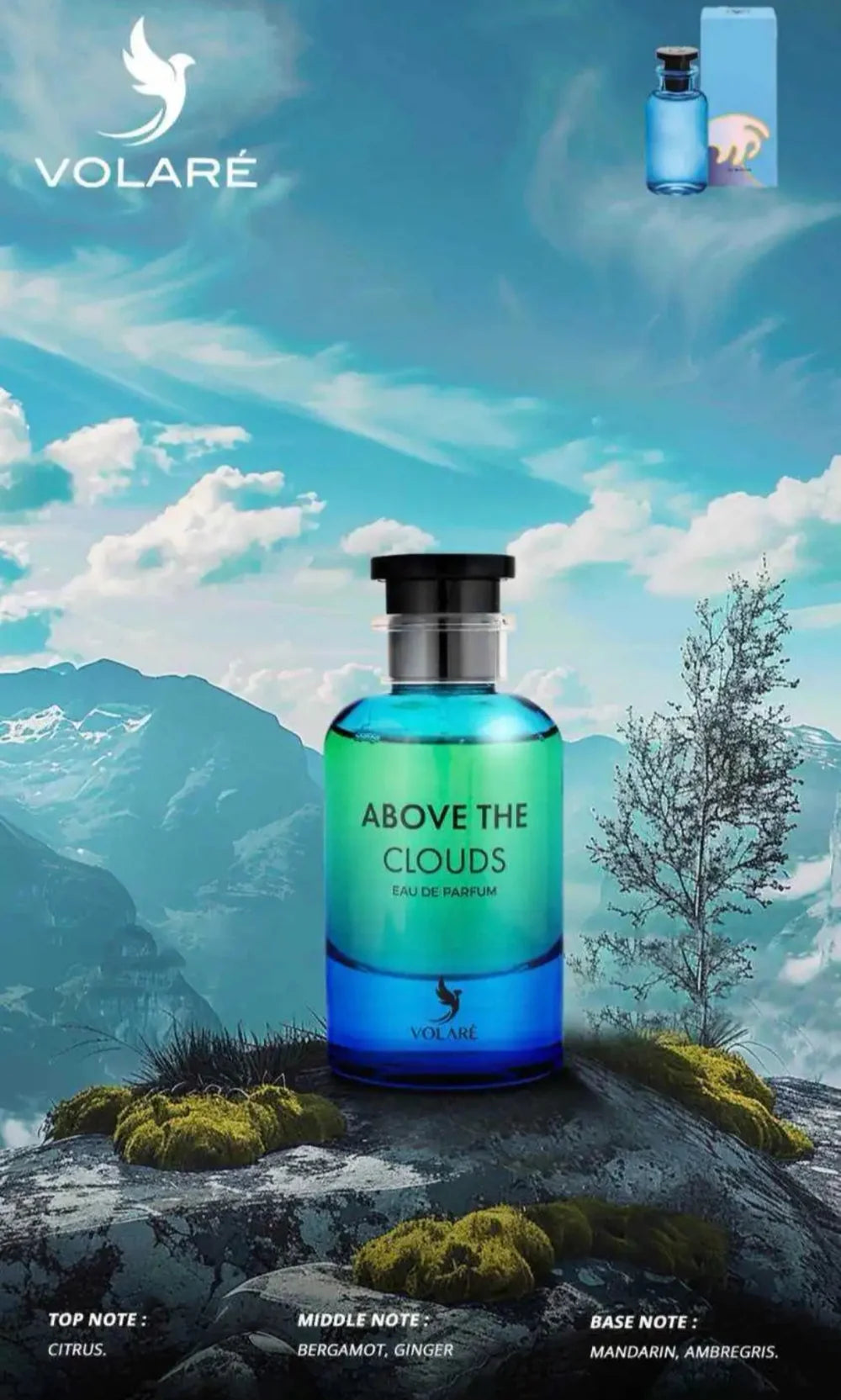 Above the Clouds